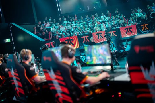 他们采取了 他们采取了