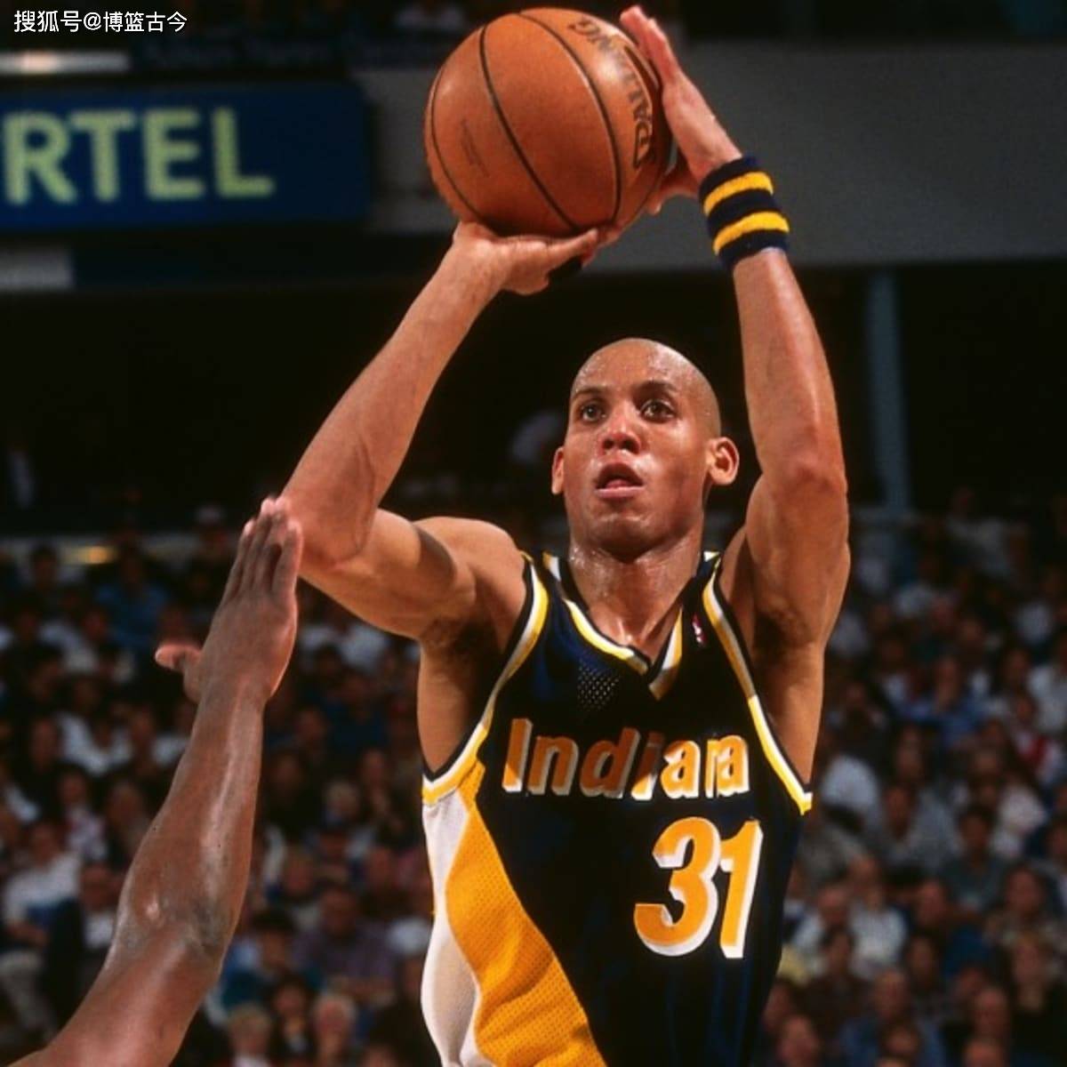 灰熊的主要 灰熊的主要